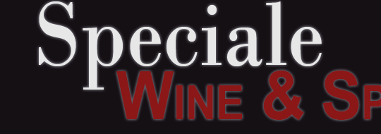 Speciale Wine and Spirits Representative Logo1